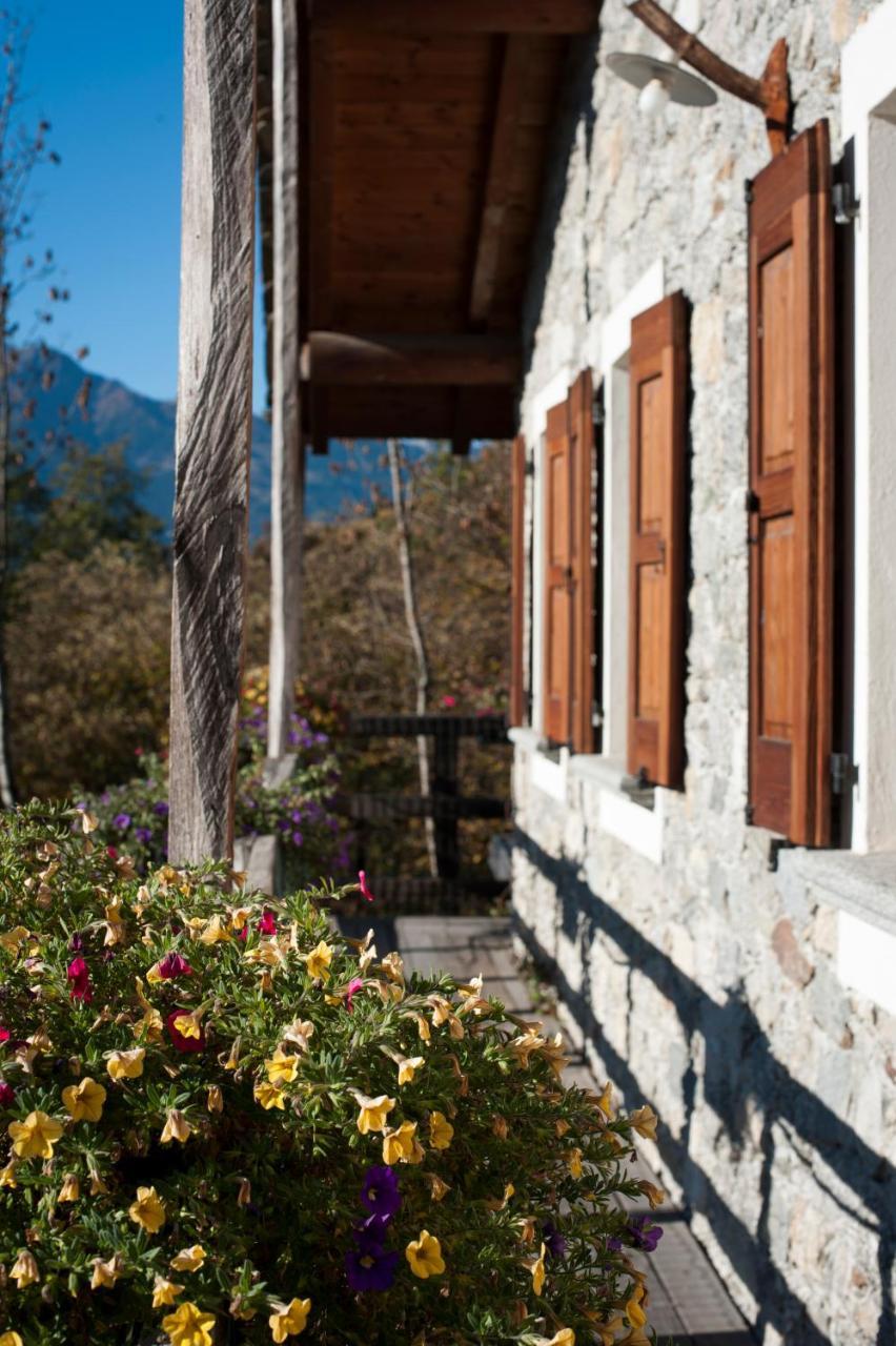 Agriturismo La Pedruscia Civo Екстериор снимка