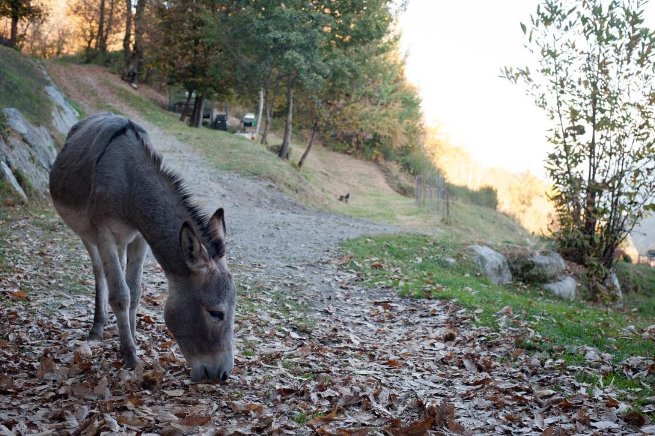 Agriturismo La Pedruscia Civo Екстериор снимка
