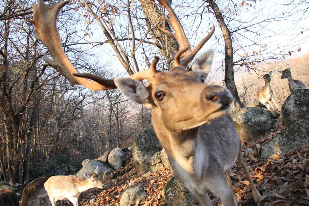 Agriturismo La Pedruscia Civo Екстериор снимка